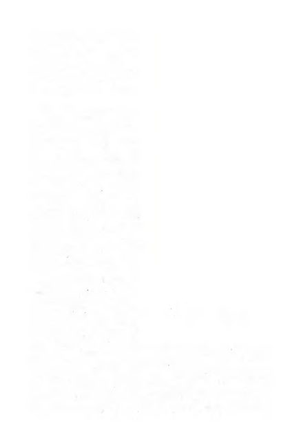 123.png