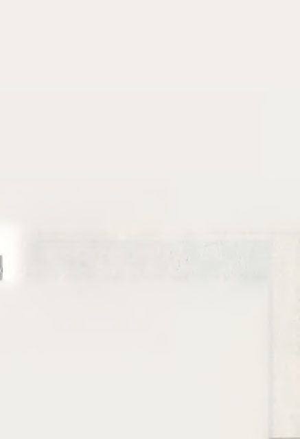 252.png