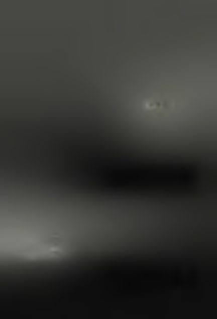 193.png