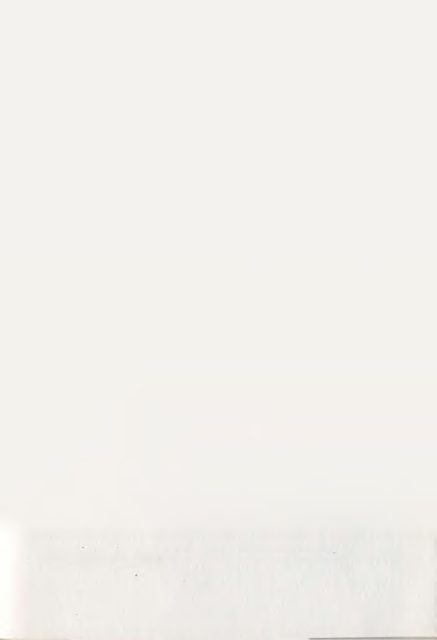 239.png