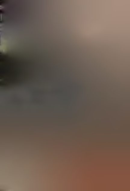 261.png