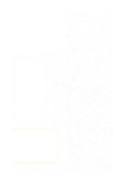 078.png