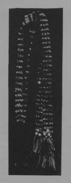 Пояс вязаный. Луговые марийцы (XIX в.). Фото Г. Соловьевой.