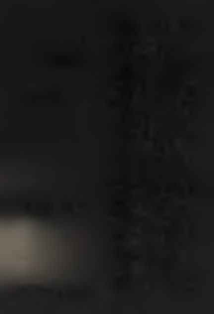 079.png