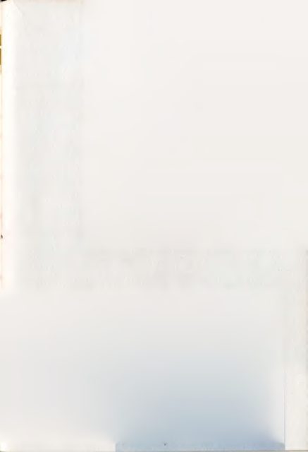 245.png