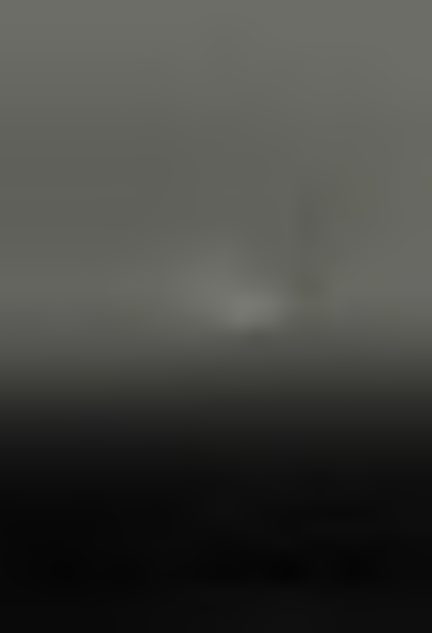 211.png