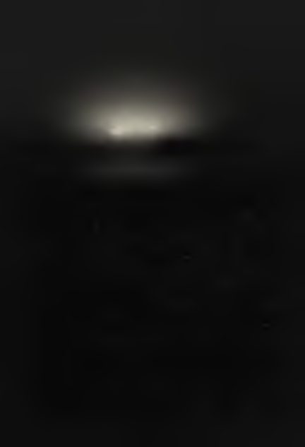 075.png