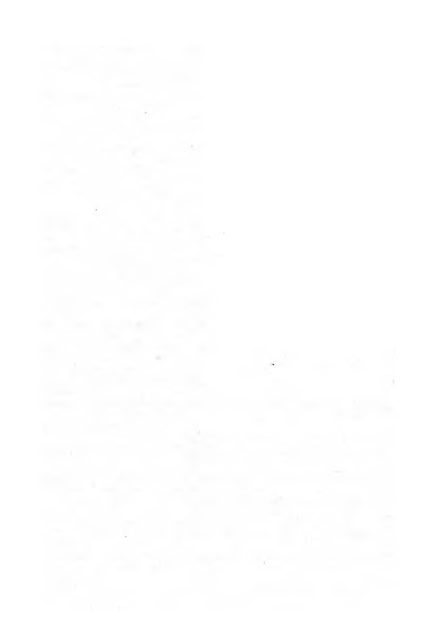 089.png