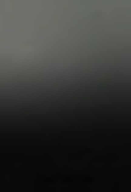 217.png