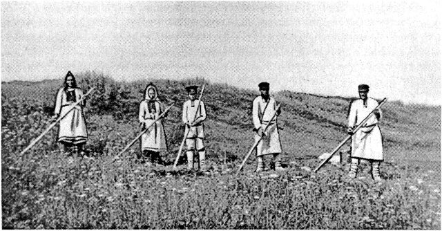 Марийцы на сенокосе. 1913 г.